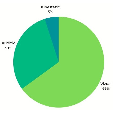 vizual auditiv kinestezic